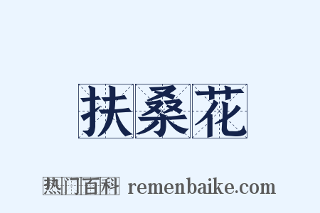 扶桑花是什么意思的图片